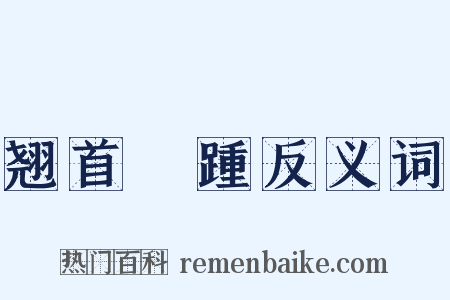 翘首跂踵反义词是什么意思的图片